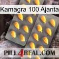 Kamagra 100 Ajanta cialis2